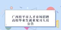 广西桂平市人才市场招聘高校毕业生就业见习人员公告