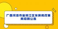 广西河池市金城江区发展和改革局招聘公告