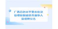 广西百色市平果市应急管理局财政供养编外人员招聘公告