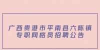 广西贵港市平南县六陈镇专职网格员招聘公告