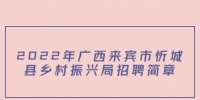 2022年广西来宾市忻城县乡村振兴局招聘简章