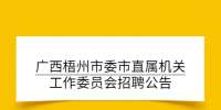 广西梧州市委市直属机关工作委员会招聘公告