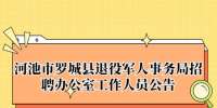 河池市罗城县退役军人事务局招聘办公室工作人员公告