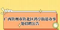 广西钦州市钦北区鸿亭街道办事处招聘公告
