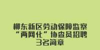 柳东新区劳动保障监察“两网化”协查员招聘3名简章